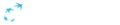 bnp logo
